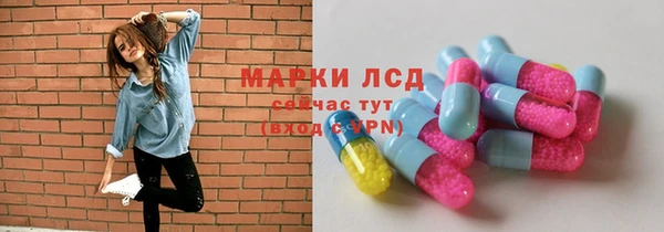 прущие грибы Зеленодольск