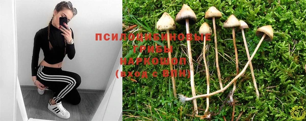 амф Инсар