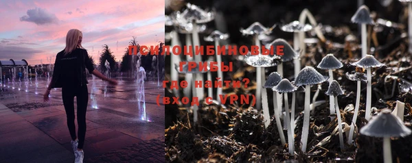 прущие грибы Зеленодольск