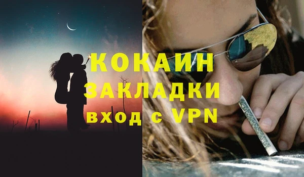 прущие грибы Зеленодольск